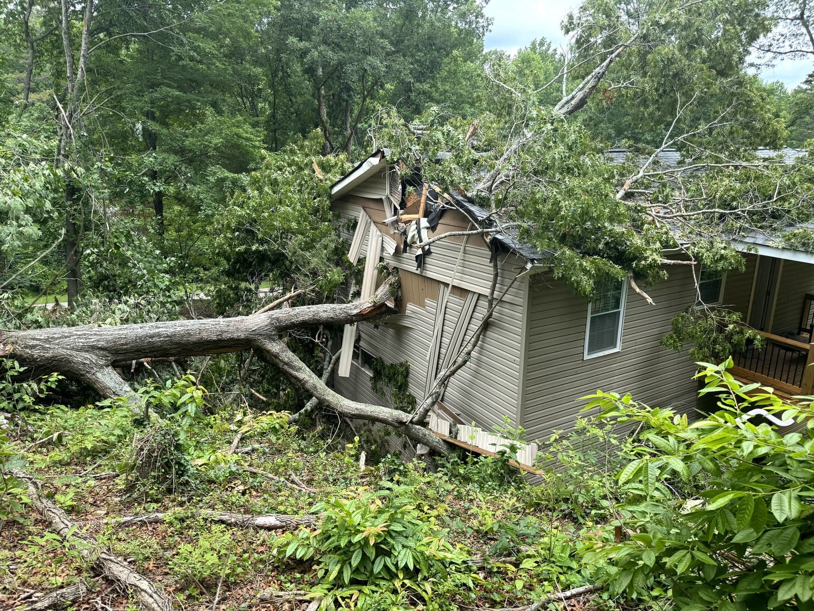 A tree through the roof of a North Georgia home after a storm
